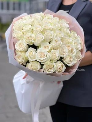 Кустовая пионовидная роза Роял Трендсеттер малиново-белая поштучно |  доставка по Москве и области