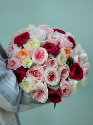 Букет из 41 розы - купить Букет из роз ☎ 8 (964) 914-35-62 Быстрая  Бесплатная Доставка по Краснодару✓ Моre Цветов
