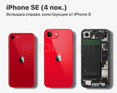 Apple iPhone SE (4th gen) specs and rumors latest: will it appear in 2024?  | Stuff
