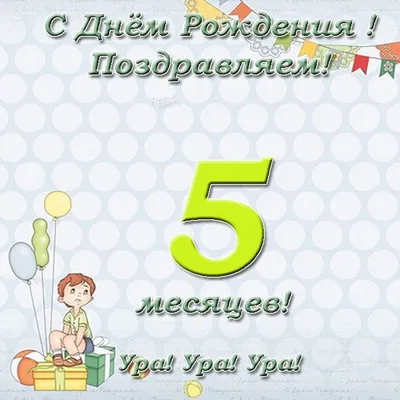 5 месяцев