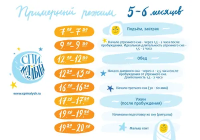 Что должен уметь ребёнок в 5 месяцев: навыки и развитие пятимесячного  малыша | \"Где мои дети\" Блог