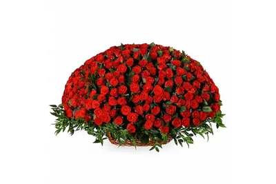 Огромная корзина цветов 501 роза сердце купить с доставкой в СПб