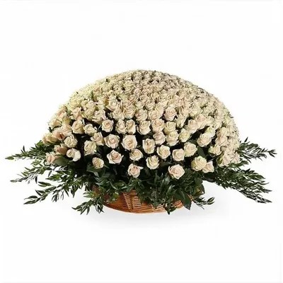 Купить Корзина из 501 элитной розы с доставкой по Томску: цена, фото,  отзывы.