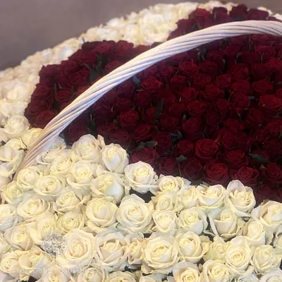 Корзина из 501 красной розы с орхидеей купить в Москве недорого с доставкой