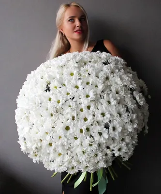 Букет из 51 хризантемы заказать с доставкой в Челябинске - салон «Дари  Цветы»