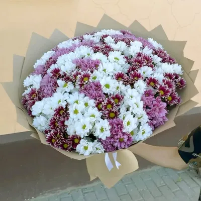 Купить Букет из 51 белой хризантемы в Киеве от компании \"More Flowers\" -  1330797765
