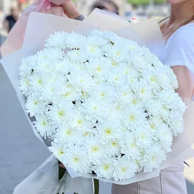 51 хризантема микс - Букеты цветов - Бийск - Цветочный магазин Ксения