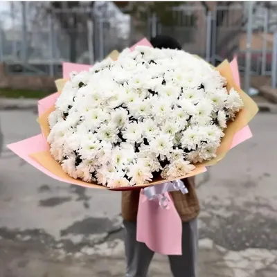 51 разноцветная хризантема - купить в Москве по цене 12990 р - Magic Flower