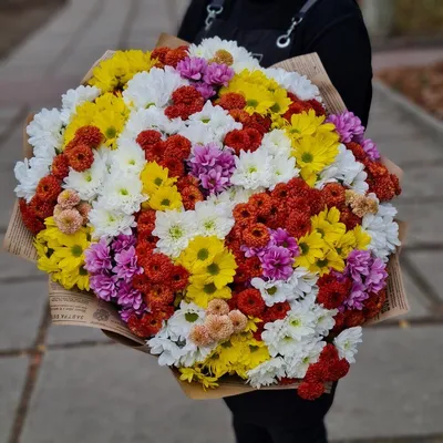 Букет 51 хризантема микс купить за 11 990 руб. с круглосуточной доставкой  по Москве | Мосцветторгком