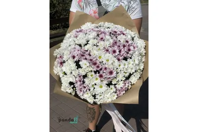 Букет из 51 белой и розовой хризантемы | купить недорого | доставка по  Москве и области | Roza4u.ru