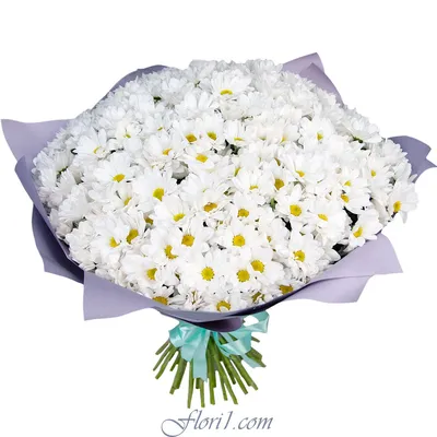 Букет из 51 хризантемы: цена, заказать с доставкой по Москве в  интернет-магазине Cyber Flora®