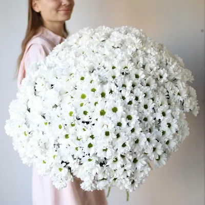 Букет 51 кустовая хризантема микс с оформлением в Москве от компании \"Оптом  Цветы\"