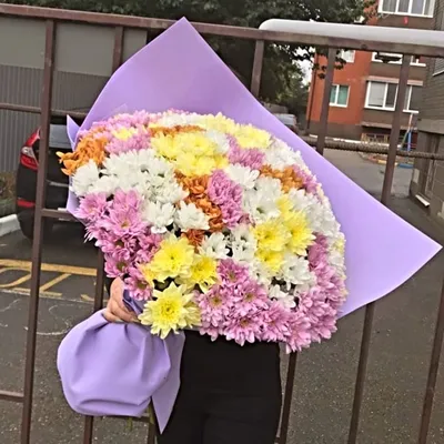 Букет 51 хризантемы - доставляем цветы по всей Украине | Juli