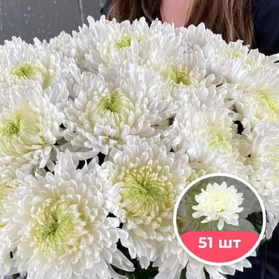Artflower.kz | Большой букет из разноцветной хризантемы - Купить с  доставкой в Алматы по лучшей цене
