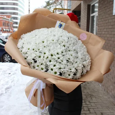 51 хризантема белая под ленту - Доставкой цветов в Москве! 120746 товаров!  Цены от 487 руб. Цветы Тут