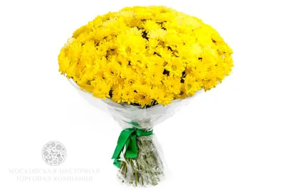 1️⃣ Букет из 51 хризантемы – заказать в Алматы от PRO-BUKET!