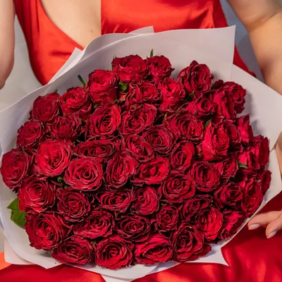 Букет из 51 красной розы Эквадор 50 см доставка в Брянске | Нескучная  История