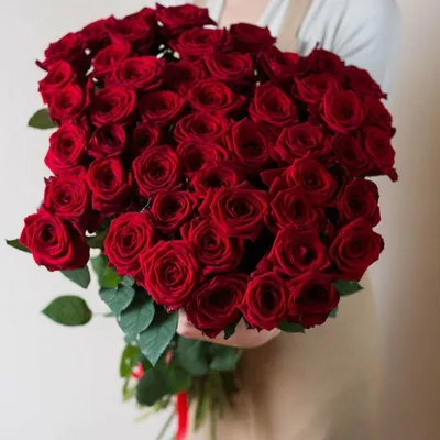 51 красная роза Ред Наоми | купить недорого | доставка по Москве и области