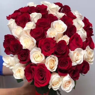 51 роза микс 50 см в красивой упаковке - заказать в интернет-магазине «La  Bouquet»