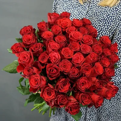 Букет из 51 красной розы 40-50 см (Эквадор) в Санкт-Петербурге, купить  букет с доставкой в СПБ | ЦветыОптРозница