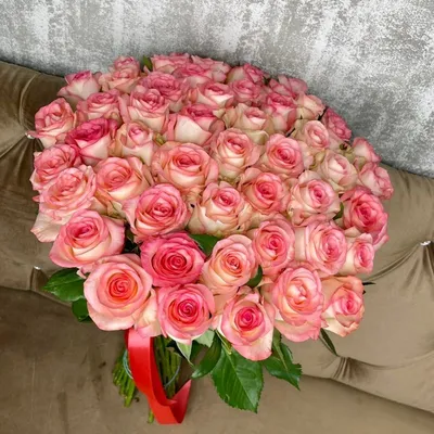 51 роза Эквадор 50 см доставка в Кемерово | Buklavka42.ru