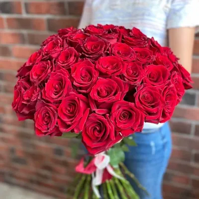 51 красная роза 50 см Кения- купить в СПб с доставкой в интернет магазине  \"Цветочкин\"