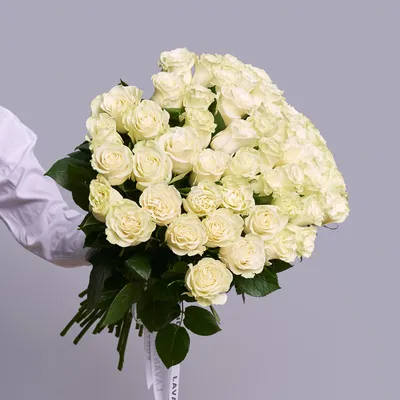 Цветы Бишкек - АКЦИЯ!!! 😱😱😱 51 роза Кения 50 см длиной 2500 сом (С  оформлением! ) 🌹101 роза 50 см 3500 сом 🌹51 роза 50 см 2500 сом (На фото)  🌹25 роз