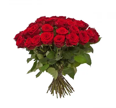А) 51 Роза \"Розовая\" (Кения) 50 см и скидки в интернет магазине цветов Роз  Новоросс