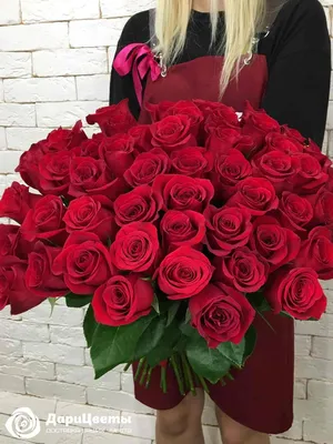 Купить Букет из 51 розы (50 см) в Краснодаре