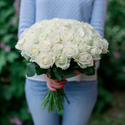 51 розовая роза Пинк Атена 50 см | купить недорого | доставка по Москве и  области