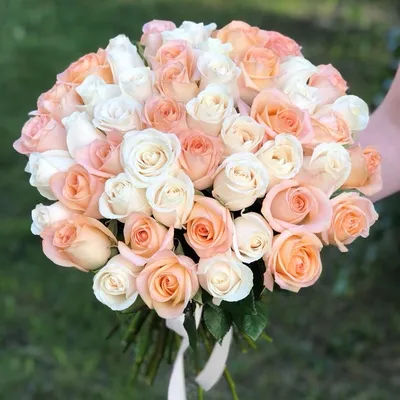 Купить букет из 51 розово-белой розы (50 см.) по доступной цене с доставкой  в Москве и области в интернет-магазине Город Букетов