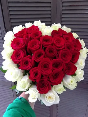 А) 51 Роза \"Аваланж\" 50 см и скидки в интернет магазине цветов Роз Новоросс
