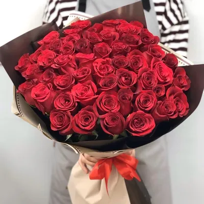 Купить 51 красная ароматная роза 60 см в Краснодаре