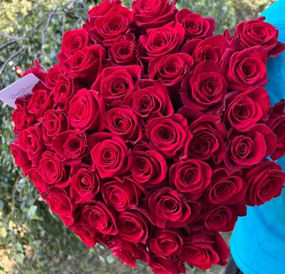51 роза в форме сердца (Премиум) 60 - 70 см