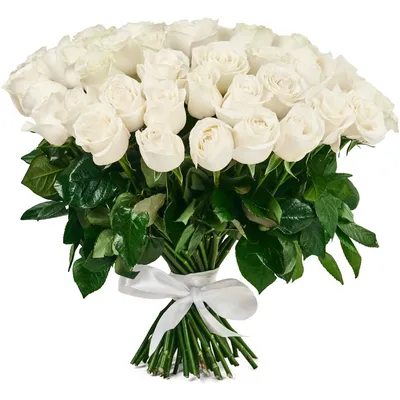 51 розово-белая роза 60 см в оформлении доставка в Брянске | Нескучная  История