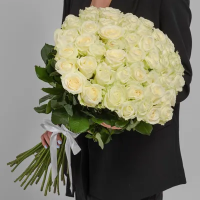 Купить букет из 51 белой розы 60 см по доступной цене с доставкой в Москве  и области в интернет-магазине Город Букетов