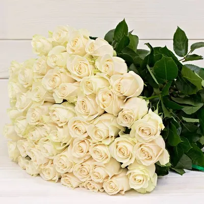 Купить Букет из 51 белой розы (50 см) с доставкой в Омске - магазин цветов  Трава