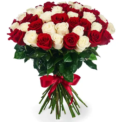 Красные розы 60 см 51 шт. купить с доставкой в Москве. Цена от 6630 ₽