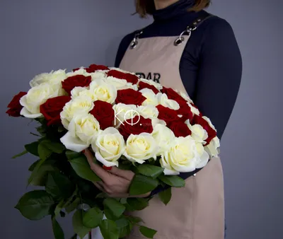 Заказать Букет из 51 розы Mondiale/60 см - Bloom.by