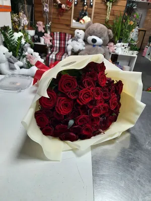 Розы Эквадор 51 шт (60 см)