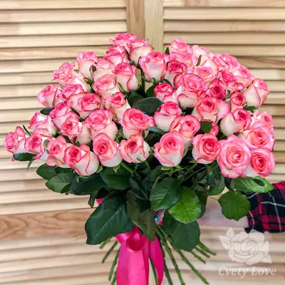 Купить 51 красную розу 70 см с доставкой в Москве | цветы-24.москва