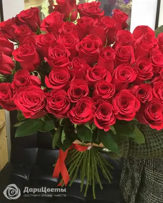 Букет из 51 красной розы сорт Гран-При - купить 51 розу с доставкой по  городу Днепр в ➜ Royal-Flowers Днепропетрвск