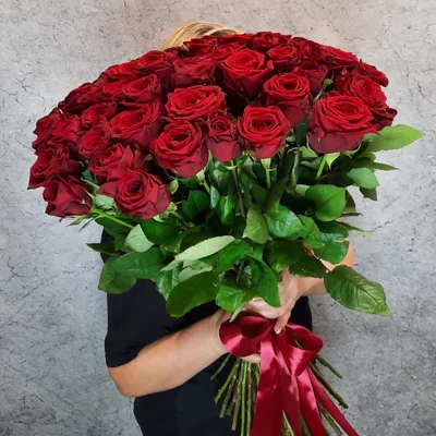 51 красная роза 70 см Эквадор- купить в СПб с доставкой в интернет магазине  \"Цветочкин\"
