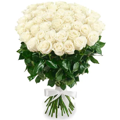 Купить 51 розовую розу 70 см с доставкой в Москве | цветы-24.москва