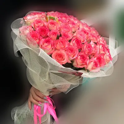 Купить Букет 51 эквадорская роза (бело-розовая) 70 см в Южно-Сахалинске по  цене 13 490 ₽ с доставкой