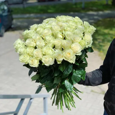 51 белая роза 70 см в красивой упаковке доставка в Ярославле | ВашБукет76