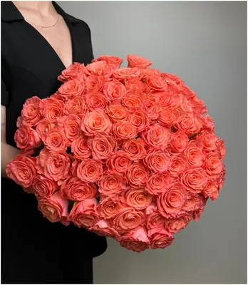 Букет из 51 красной розы (70 см) за 7285р. Позиция № 519