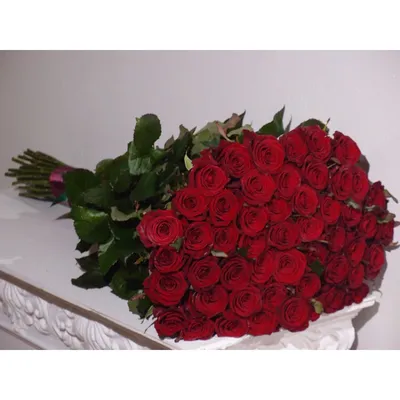 51 Белая Роза 70см - Доставкой цветов в Москве! 91564 товаров! Цены от 487  руб. Цветы Тут