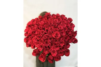 51 роза 70 см | Купить недорого с доставкой по СПб - Newflora