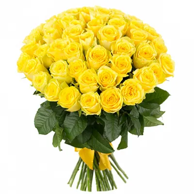 Купить букет из 51 коралловой розы 70 см по доступной цене с доставкой в  Москве и области в интернет-магазине Город Букетов